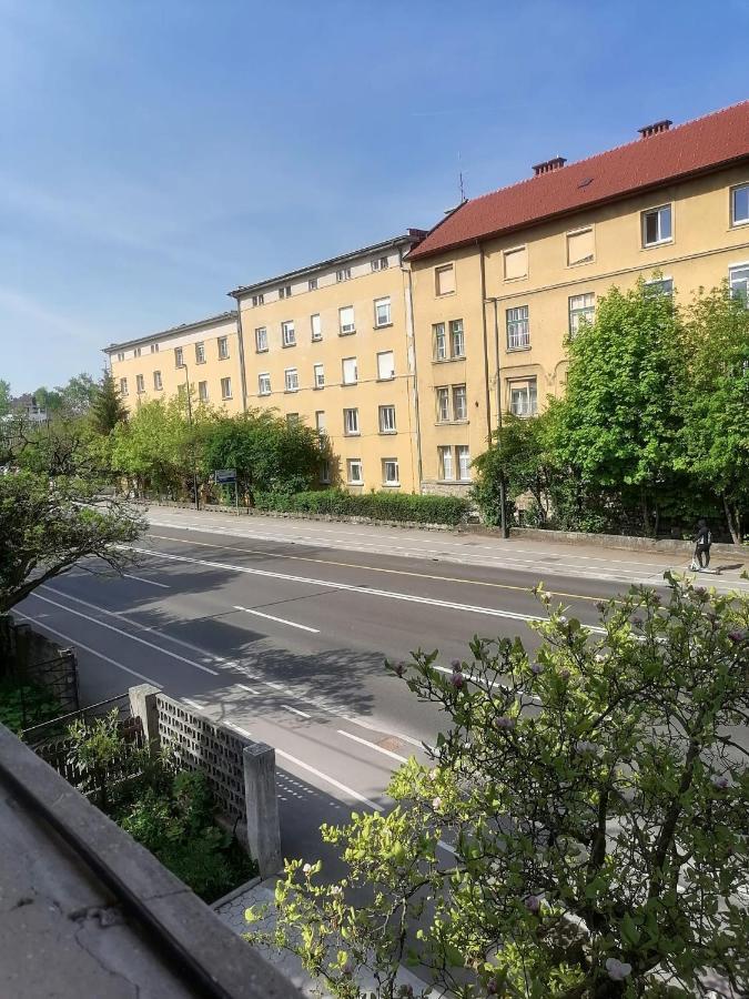Appartement Pirc On Dunajska Street *